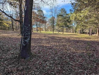 7 Sycamore Dr, Conway, AR 72032