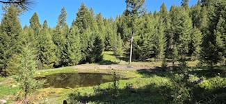 4 Tract Bull Elk, Drummond, MT 59832