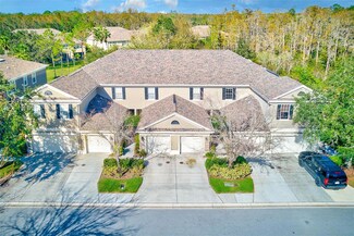 11103 Windsor Place Cir, Tampa, FL 33626