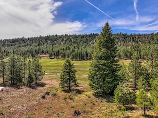 5613 Lupine Ln Unit 111, McCall, ID 83638