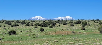 0 Rio Cucharas Ph 1 Unit 77 25-533, Walsenburg, CO 81089