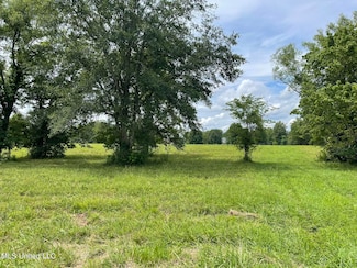 0 Middle Rd, Flora, MS 39071