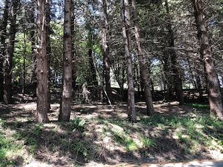 522 Beach Rd, Whitethorn, CA 95589