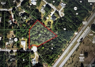 1745 W Mesa Verde Dr, Beverly Hills, FL 34465