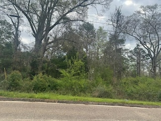 00 Powell Cir, Andalusia, AL 36420