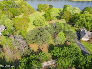 136 Swan Sea Ln, Madison, MS 39110
