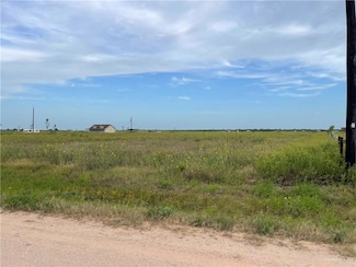 17303 La Coma Service Rd, Edinburg, TX 78581