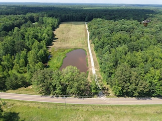 0 Mifflin Rd, Beech Bluff, TN 38313