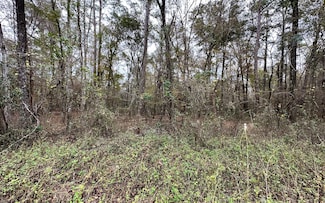 TBD 12th Terrace Lot 4, Live Oak, FL 32060