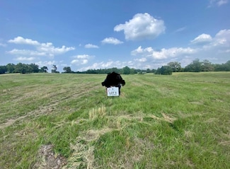 Lot #5 Private Rd, Big Sandy, TX 75755