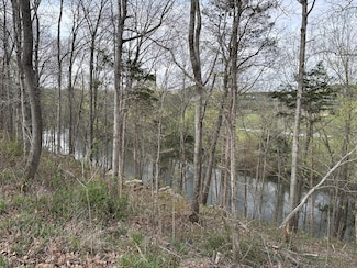 0 S Arrowhead Dr, McMinnville, TN 37110
