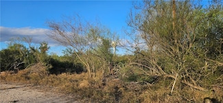 0 1st St, Ben Bolt, TX 78332