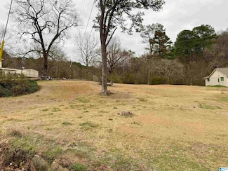 313 Belcher Hill Rd Unit 1, Gardendale, AL 35071