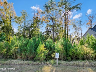 344 Preservation Point, Wilmington, NC 28401