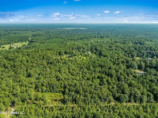 0 Forest Lake Rd, Beaumont, MS 39423