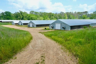 2060 Swilley Rd, Wesson, MS 39191