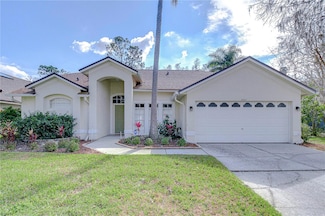 6427 Weatherwood Cir, Wesley Chapel, FL 33545