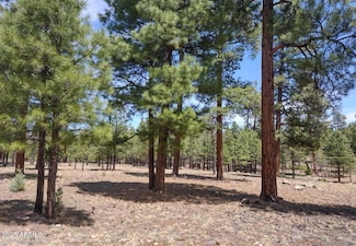 4382 Jack Pine Place, Blue Ridge, AZ 86024