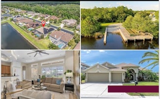 1709 Nodding Thistle Dr, New Port Richey, FL 34655