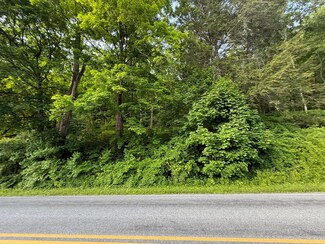 591 Bog Hollow Rd, Wassaic, NY 12592