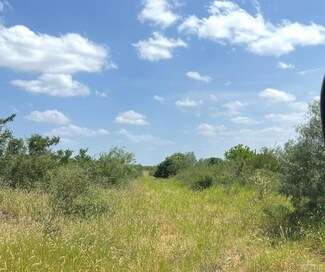231 Alaniz Ranch Rd, Santa Elena, TX 78591