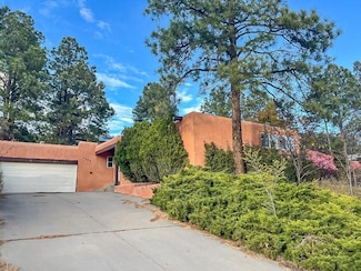 1725 Camino Redondo, Los Alamos, NM 87544