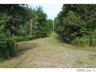41 Nichols Rd, Williamstown, NY 13493