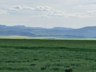 TBD 127th Ave Unit 90 Acres, Sturgis, SD 57785
