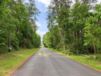 LOT 1, 7, 8 Third St, Astor, FL 32102