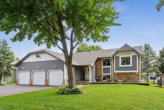 10729 Lincoln St NE, Minneapolis, MN 55434