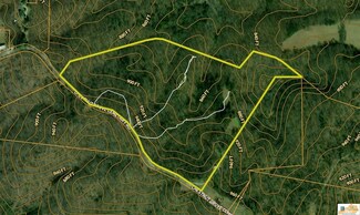 527 Chestnut Grove Cemetery Rd, Bonnieville, KY 42713