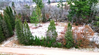 W13009 Kramer Rd, Bruce, WI 54819