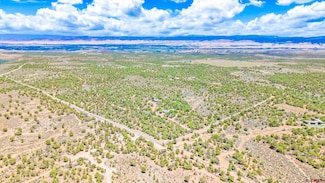 61020 Tres Coyotes Trail, Montrose, CO 81403