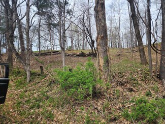 0 Gossett Rd Unit RTC2810162, Ashland City, TN 37015