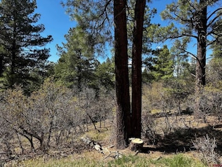 523 Oakridge Dr, Pagosa Springs, CO 81147