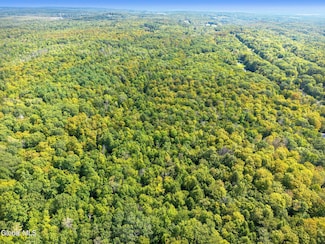 L100 Skyline Dr, Delanson, NY 12053