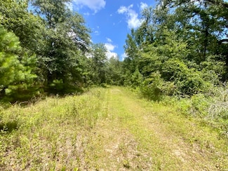 0000 NE Dandelion St, Madison, FL 32340