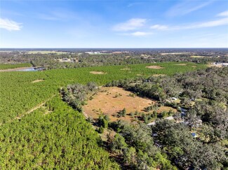 165 SE 122nd Ave, Old Town, FL 32680