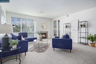 1655 N California Blvd Unit 228, Walnut Creek, CA 94596