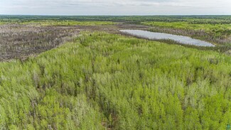 TBD Stony Loop Rd, Stony River Township, MN 55607