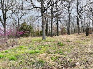 802 Pinto Ln, Horseshoe Bend, AR 72512