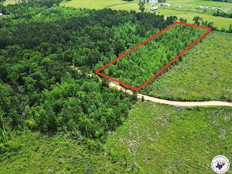 TBD Mc 77, Doddridge, AR 71854