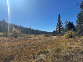 1000 26n24, Taylorsville, CA 95983