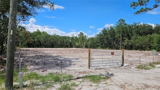 35391 Overcup Dr, Webster, FL 33597