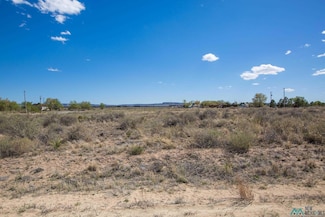 Lot: 3-6 Block 12, Willard, NM 87063