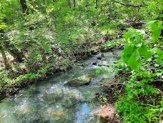 000 Flat Rock Rd, Mountain View, AR 72560