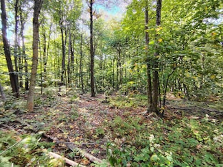 0 Mason Hill Rd N Unit 5016657, Pownal, VT 05261