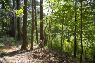 326 Orchard St, Millis, MA 02054