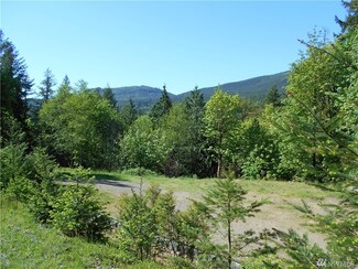 32 Welsch Dr, Brinnon, WA 98320