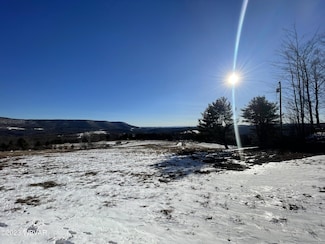 PARCEL 001 Fairman Rd, Muncy Valley, PA 17758